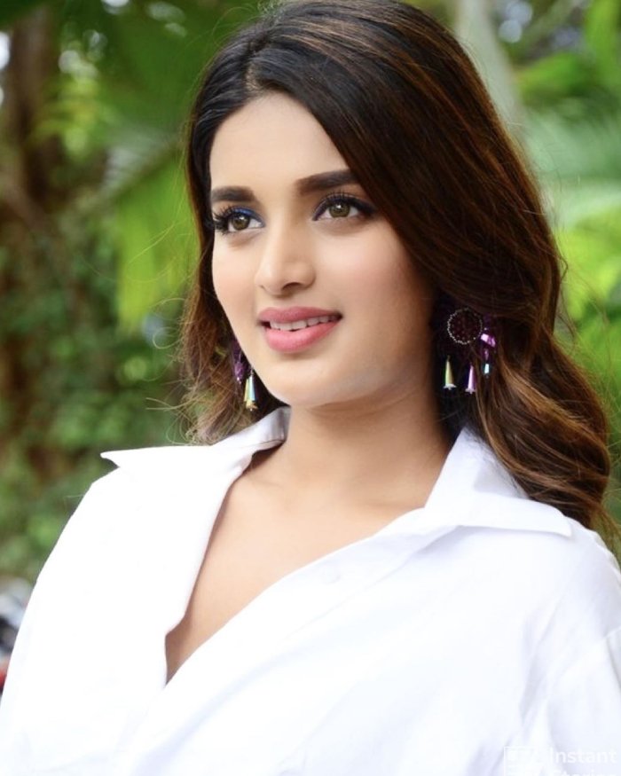 nidhhi agerwal 3